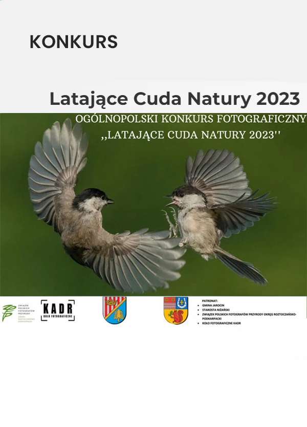 Konkurs fotograficzny latejace cuda natury