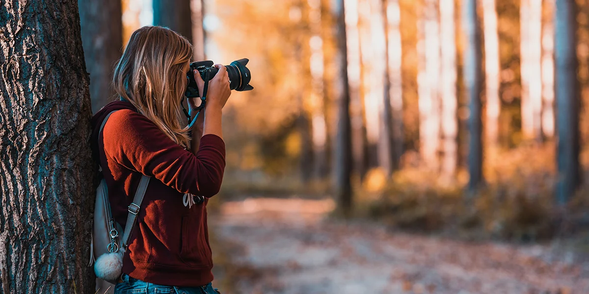 Tematyka lesna konkursów fotograficznych