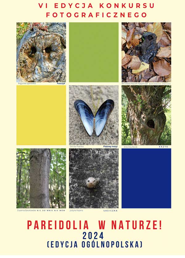 Pareidolia konkurs fotograficzny
