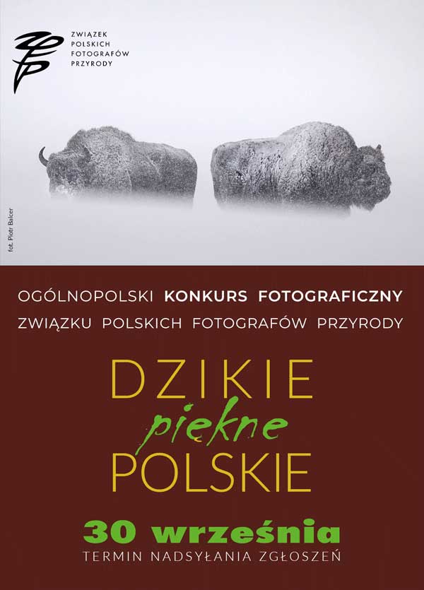konkus fotograficzny dzikie piekne polskie